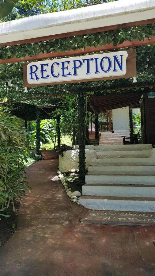 Hotel Bugabutik Puerto Viejo de Talamanca Esterno foto
